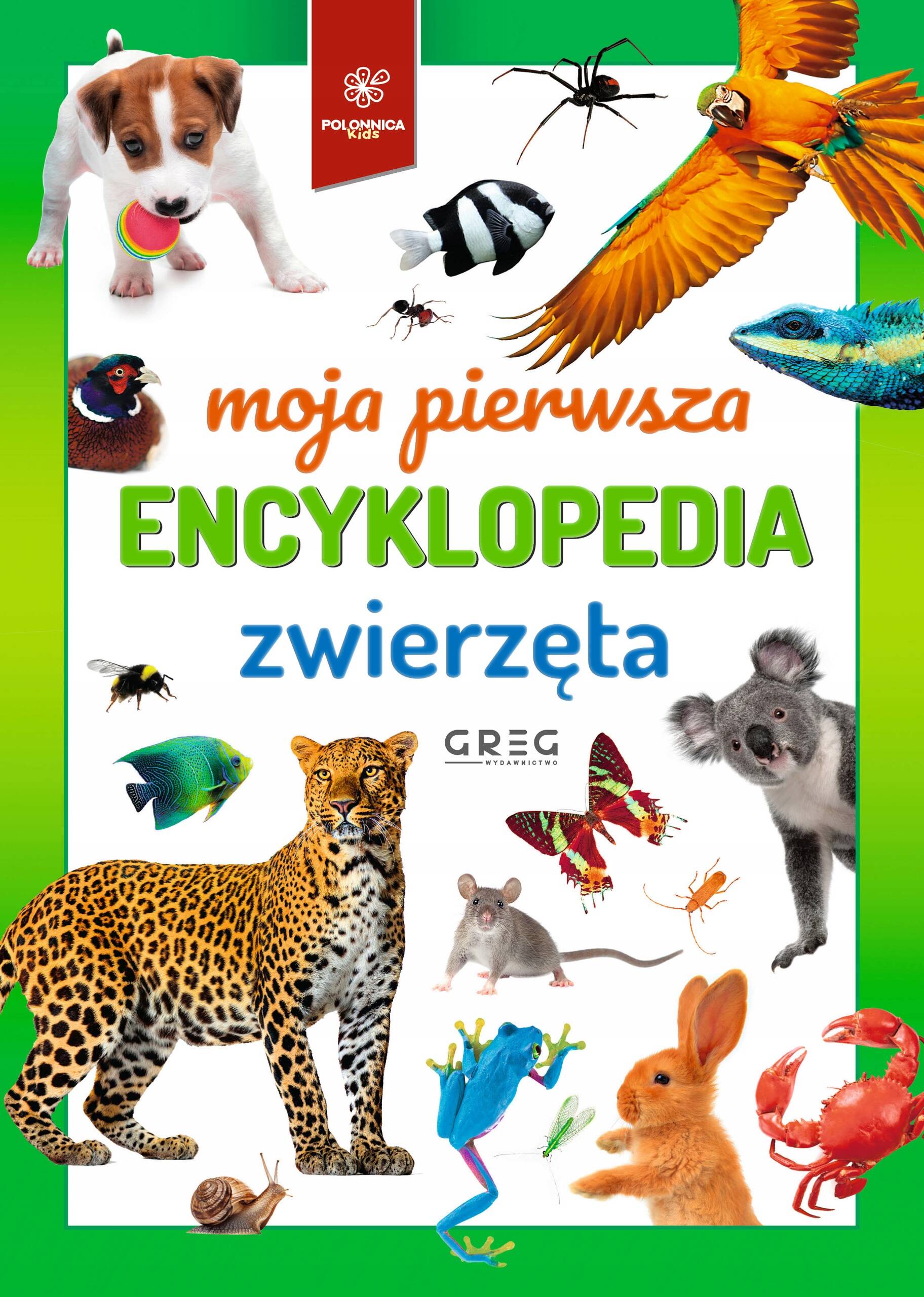 Moja Pierwsza Encyklopedia ZWIERZĘTA Gatunki Zwierząt Kontynenty Greg (TW)_1