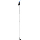 Kije nordic walking kijki trekkingowe NW602 NILS