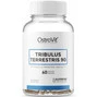 Tribulus Terrestris 90 60 tabs OstroVit
