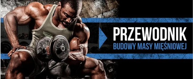 SCITEC Poradnik Budowy Masy ...