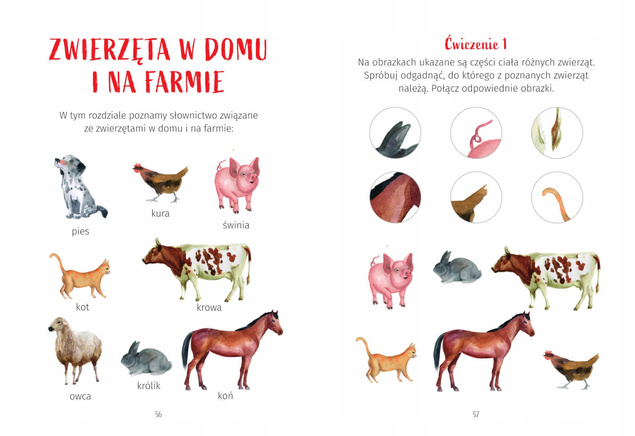 Ćwiczenia Dla Przedszkolaków z Elementami Metody Montessori SBM