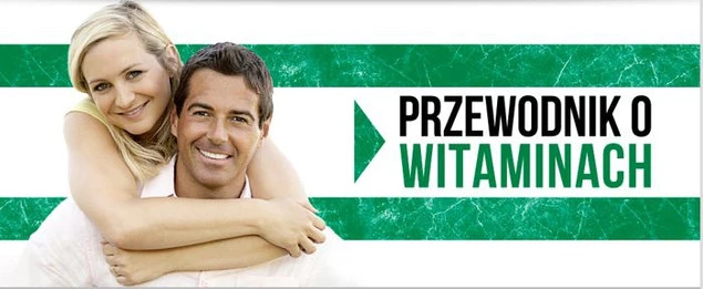 SCITEC Poradnik Budowy Masy ...